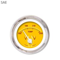 Aurora Instruments - GAR2120ZEXLABCD - 1