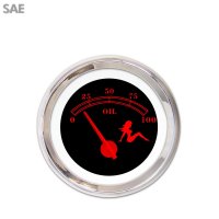 Aurora Instruments - GAR273ZEXJABCE - 1