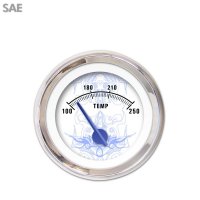 Aurora Instruments - GAR289ZEXLABCF - 1
